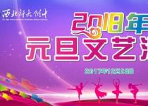 成人抖音2018年迎新年元旦文艺汇演1