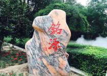 成人抖音2020届毕业纪念视频《铭源》